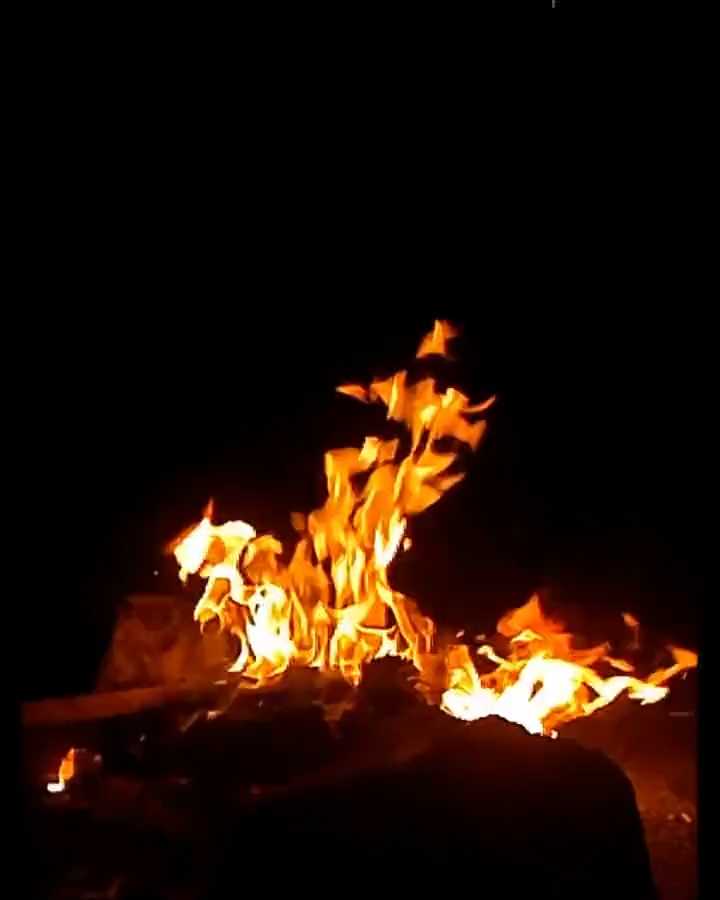 Jungle Campfire Night