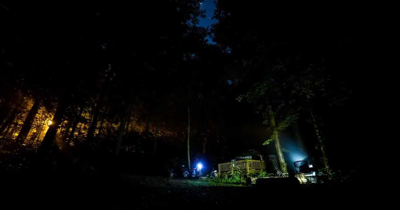 Night Jungle Camping